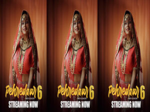 Pehredaar 2024 Hindi Hot Web Series Bigplay Episode 01